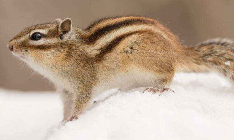 青島中祥電力工程有限公司輪播圖4